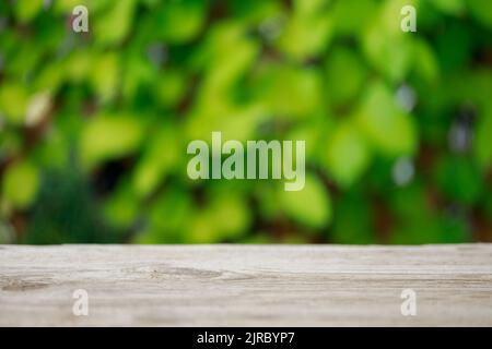 Wood table top texture on blur leaf tree garden background. For create product display Stock Photo