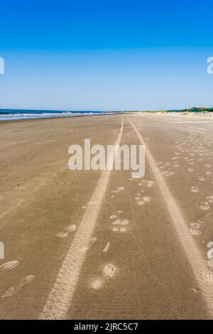 Tire tracks and foot prints along the shore of a sandy beach under a  blue sky. Stock Photo