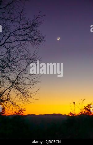 Spooky orange and purple sky on a clear night with a crescent moon and tree silhouette. Stock Photo
