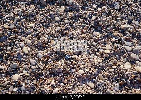 beach made of rounded pebbles and small pieces of wood Stock Photo