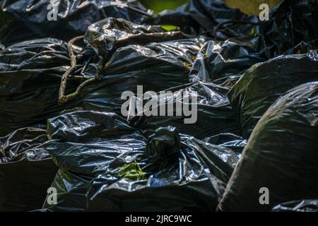 Garbage bags next to the trash can. Black plastic bag texture and background. Stock Photo