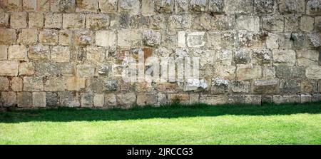 Background with an ancient wall and green grass lit by the sun Stock Photo