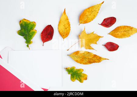 Autumn flat lay. Envelope with a blank greeting card and fallen yellow leaves on white background. Copy space. Stock Photo