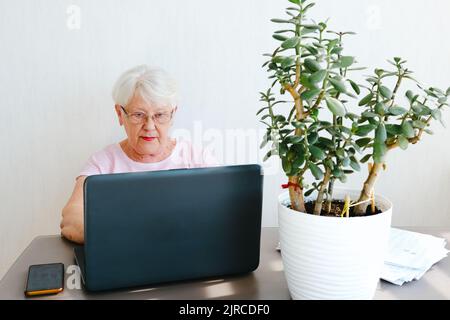 Financial problems. Disappointed senior lady reading document and talking to advisor by phone, working with documents and laptop. Stock Photo