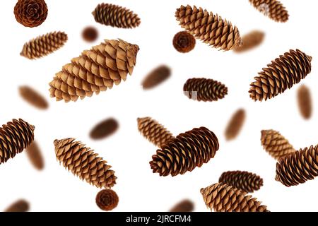 Pine cone isolated on white background, selective focus Stock Photo