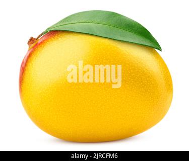 mango isolated on white background, clipping path, full depth of field Stock Photo