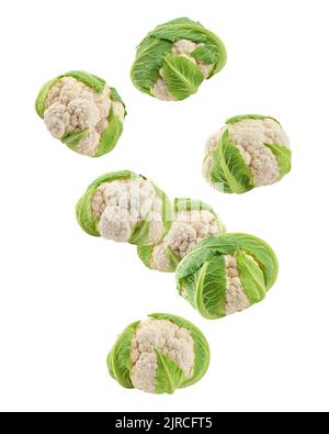 Falling cauliflower isolated on white background, clipping path, full depth of field Stock Photo