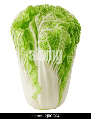 chinese cabbage, isolated on white background, clipping path, full depth of field Stock Photo