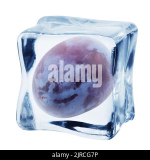 plum in ice cube, isolated on white background, clipping path, full depth of field Stock Photo