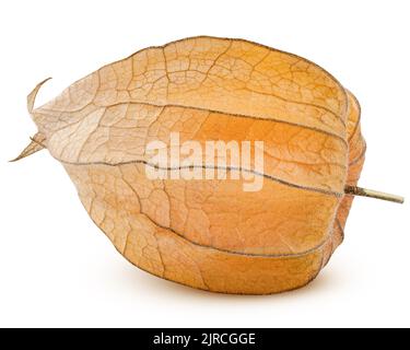 Cape gooseberry, physalis isolated on white background, clipping path, full depth of field Stock Photo