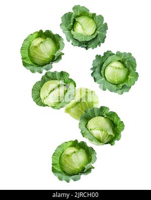 Falling cabbage isolated on white background, clipping path, full depth of field Stock Photo