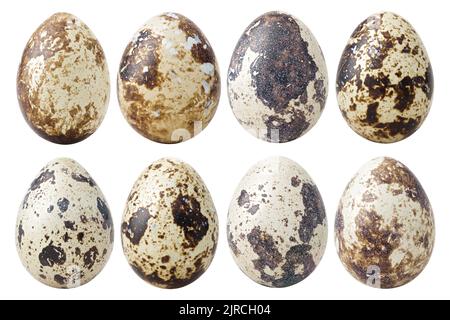 quail egg, isolated on white background, clipping path, full depth of field Stock Photo