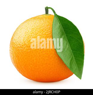 mandarin isolated on white background, clipping path, full depth of field Stock Photo
