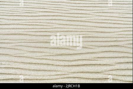 Ripples of light sand. Natural, abstract beige background. Sand texture. Top view. Stock Photo