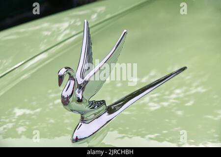 The swan hood ornament from a classic Packard automobile. Stock Photo