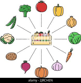 Online store with vegetables. Shopping concept, vector illustration Stock Vector