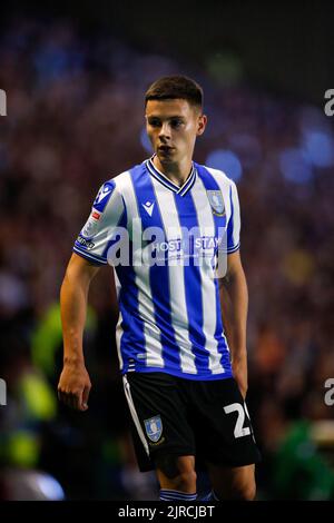 Sheffield, UK. 23rd Aug, 2022. Alex Hunt #29 of Sheffield Wednesday in ...