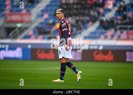 Renato Dall'Ara stadium, Bologna, Italy, November 21, 2021, Bologna's Nicolas Dominguez portrait  during  Bologna FC vs Venezia FC (portraits archive) Stock Photo