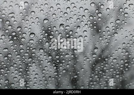 Raindrops on the window Stock Photo