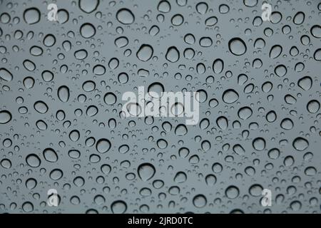 Raindrops on the window Stock Photo