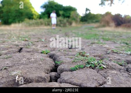 London, UK, 23rd August, 2022. A close-up of cracked earth in Morden Park. Drought conditions declared in 10 of the 14 English Environmental Agency regions may last until October affecting farming and river water levels as hosepipe bans are in force in some southern and central areas. Credit: Eleventh Hour Photography/Alamy Live News Stock Photo