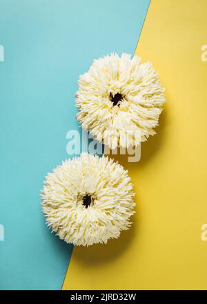 Shag donuts on two color blue and yellow background. Unusual trendy donuts with white vanilla buttercream. Copy space. Top view or flat lay. Vertical Stock Photo
