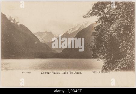Chester Valley, Lake Te Anau, 1900-1903, Te Anau, Lake, by Muir & Moodie. Stock Photo