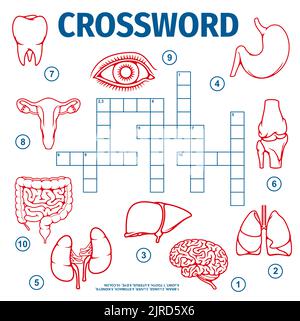 Human body organs word search puzzle game worksheet vector riddle grid