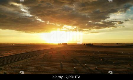 Panorama of Hay balls on a field in rural, agricultural area at sunset, beautiful and scenic light Stock Photo