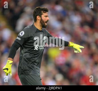 15 Aug 2022 - Liverpool v Crystal Palace - Premier League - Anfield  Liverpool's Alisson Becker during the Premier League match at Anfield.  Picture : Mark Pain / Alamy Live News Stock Photo