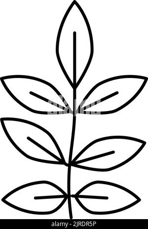 ash leaf line icon vector illustration Stock Vector