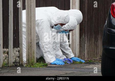 Forensics officers at the scene of an incident at a property in Kingsheath Avenue, Knotty Ash, Liverpool, where nine-year-old Olivia Pratt-Korbel was fatally shot on Monday night. The people of Liverpool have been urged to turn in the masked gunman who killed Olivia as he chased his intended target into her home. Picture date: Wednesday August 24, 2022. Stock Photo