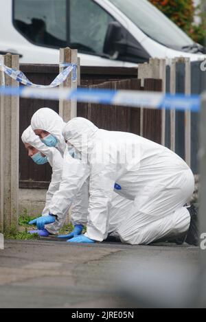 Forensics officers at the scene of an incident at a property in Kingsheath Avenue, Knotty Ash, Liverpool, where nine-year-old Olivia Pratt-Korbel was fatally shot on Monday night. The people of Liverpool have been urged to turn in the masked gunman who killed Olivia as he chased his intended target into her home. Picture date: Wednesday August 24, 2022. Stock Photo