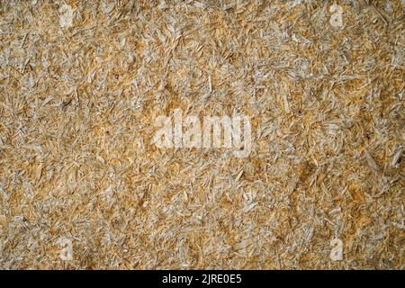 Texture of pressed chipboard sawdust for background and design Stock Photo