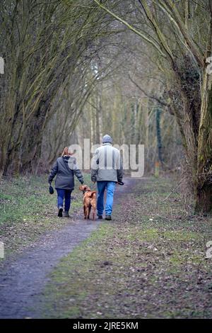 man, woman and dog walking along woodland footpath broome norfolk england Stock Photo