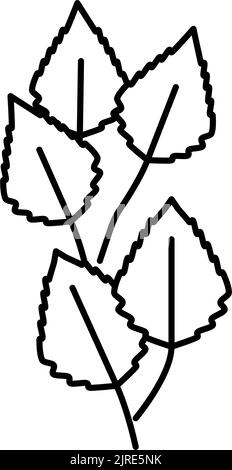 birch leaf line icon vector illustration Stock Vector