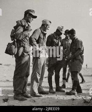 A vintage photo circa 1942 showing British soldiers searching German prisoners of war of the German 90th Light Division Afrika korps after being captured at El Alamein Egypt