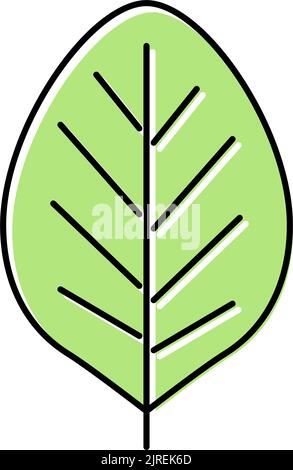 ebony leaf color icon vector illustration Stock Vector Image & Art - Alamy