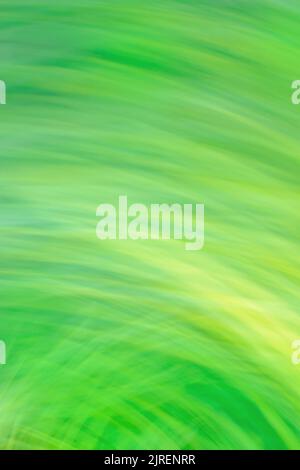 Natural bokeh blurred green plants landscape as background. Abstract blurred landscape background. Stock Photo