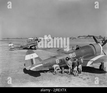 Royal Air Force Operations in the Far East, 1941-1945. Two Republic Thunderbolt Mark IIs (KJ140 'RS-B' and HD265 'RS-G') of No. 30 Squadron RAF being serviced at Jumchar, India. Note 30 Squadron's palm tree badge, which has been painted onto the white recognition stripes on the Thunderbolts' tails. Parked behind them is a visiting Boeing B-29 Superfortress of the 40th Bombardment Group, 20th USAAF. Stock Photo