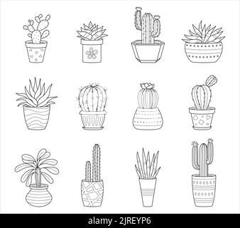 Set of outline doodle cactus and succulents. Collection with different types of cacti and home plants. Black and white linear vector illustrations iso Stock Vector