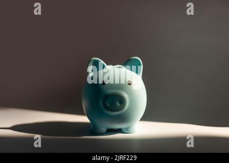 Simple Piggy Bank - With Expressions - Sad, Crying. Stock Photo