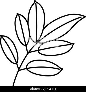 mahogany leaf line icon vector illustration Stock Vector