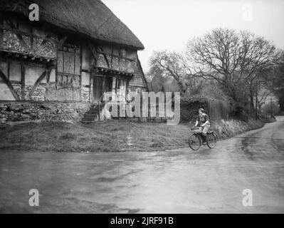 Landgirl's Day- Everyday Life and Agriculture in West Sussex, England, UK, 1944 29 year old Land Girl Rosalind Cox cycles down a country lane, past a large timber-framed, thatched farmhouse on her way to the grain dryer on Mr Tupper's farm, at Bignor, West Sussex. Stock Photo