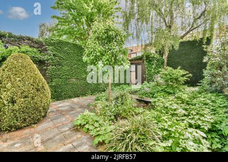 Simple small patio with small garden near wooden fence Stock Photo