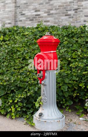 Fire hydrant with red top on the side of the road with green bushes in the background Stock Photo