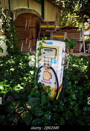 The vertical view of a shell fuel dispenser in the green leaves Stock Photo