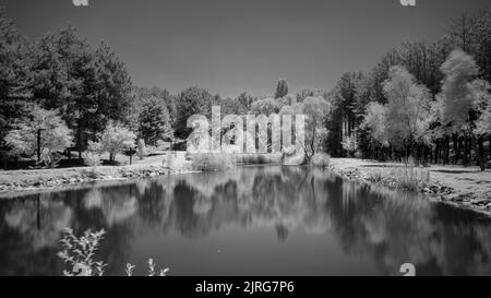 black and white lake landscape with reflections, hacettepe univercity green valley, yeşil vadi Stock Photo