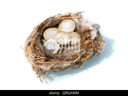 One euro coins stacked in birds nest Stock Photo