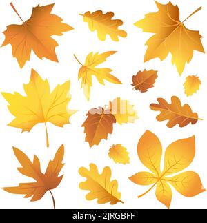 golden autumn leaves maple vector Stock Vector